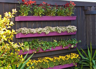 Vertical Garden